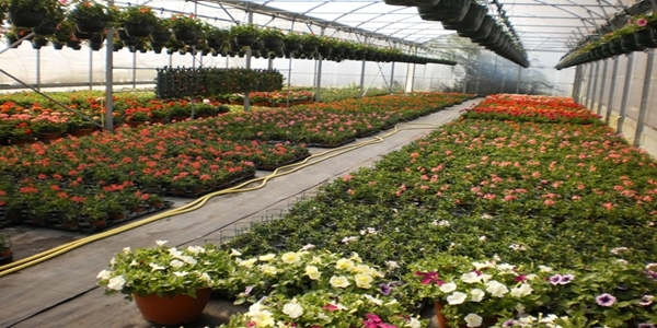 facility services provider in noida