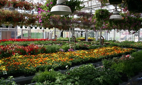 facility services provider in noida