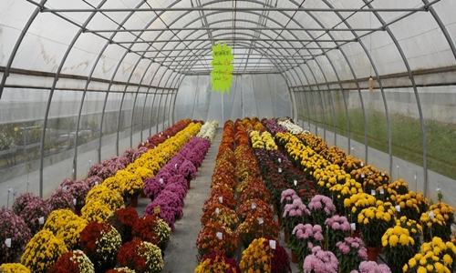facility services provider in noida