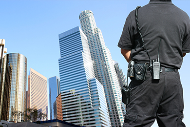 Security Services in Noida